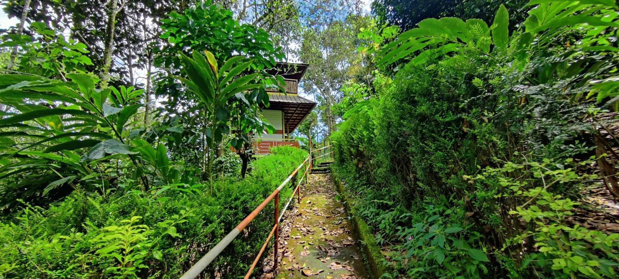Отель Chalona Hill View Муннар Экстерьер фото